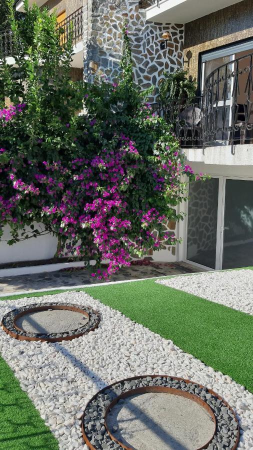 Colina Guesthouse - Braga Eksteriør bilde